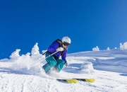 Ming焦点对战，Rookie与50激战澳大利亚队分钟，大比分获胜胜负难料！气势如虹延续